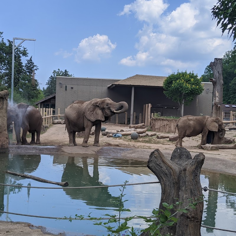 Seneca Park Zoo