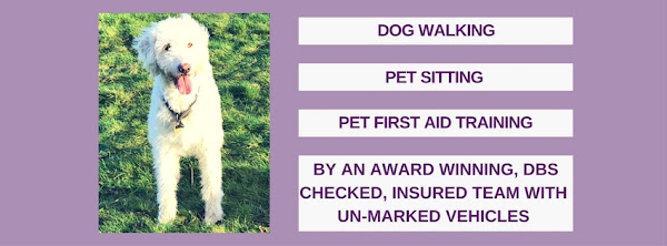 Friends for Pets South Bristol