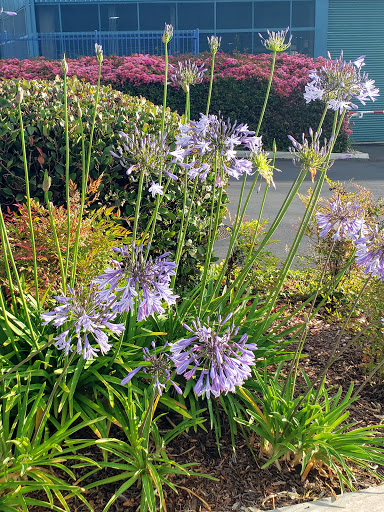 Self-Storage Facility «Price Self Storage», reviews and photos, 533 Stevens Ave W, Solana Beach, CA 92075, USA