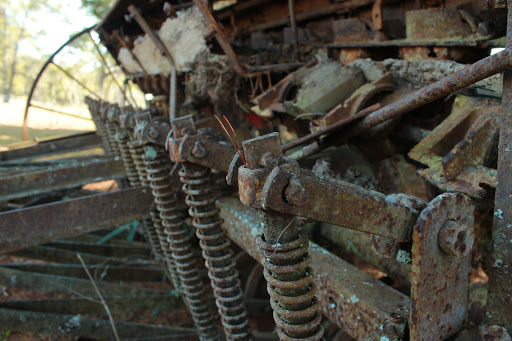 Winery «Dakotah Vineyards & Winery», reviews and photos, 14365 US-19, Chiefland, FL 32626, USA