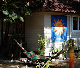 Wild Flowers Hostel photo