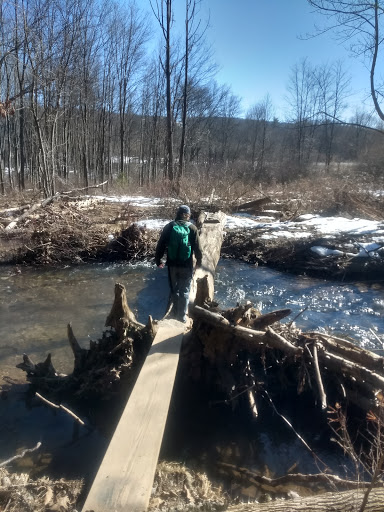 State Park «Swatara State Park», reviews and photos, 1450 Suedberg Rd, Pine Grove, PA 17963, USA