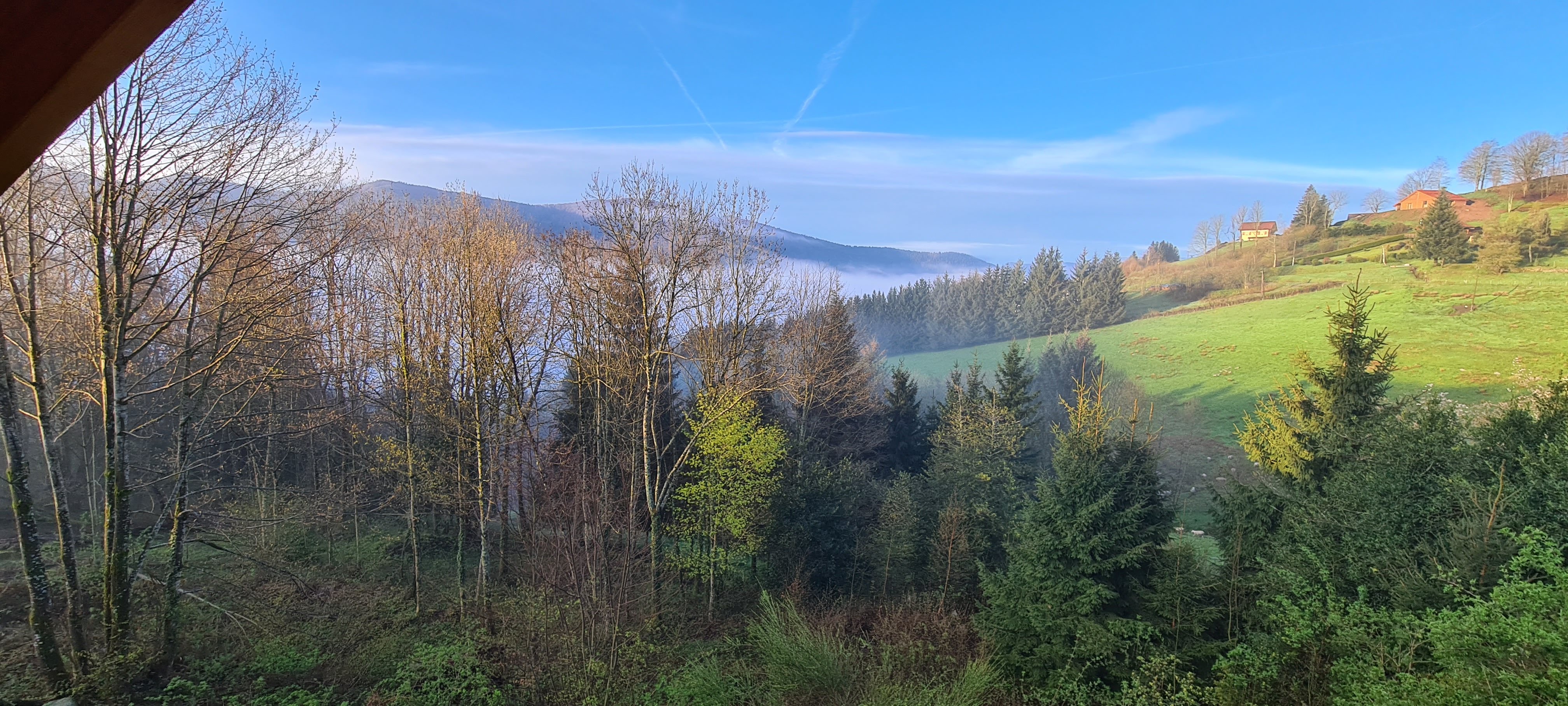 Photo n° 1 de l'avis de Derek.e fait le 29/04/2023 à 07:06
