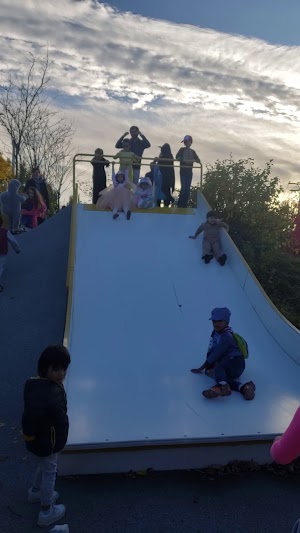 Chuckie Harris Park - photo 42