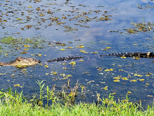 Golf Course «Orange Lake Golf», reviews and photos, 8505 W Irlo Bronson Memorial Hwy, Kissimmee, FL 34747, USA