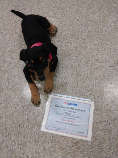 Pet Supply Store «PetSmart», reviews and photos, 45 Park Pl Dr, Covington, LA 70433, USA