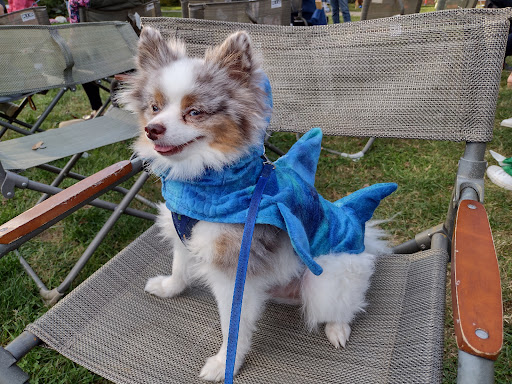 Heritage Museum «Hillwood Estate, Museum & Gardens», reviews and photos, 4155 Linnean Ave NW, Washington, DC 20008, USA