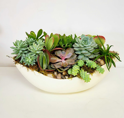 Florist «Bixby Knolls Flowers», reviews and photos, 3901 Long Beach Blvd, Long Beach, CA 90807, USA