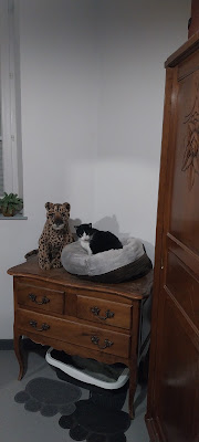La Maison du Bonheur - garde d'animaux à Sanssac-l'Église