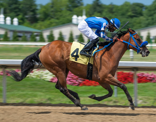 Event Venue «JACK Thistledown Racino», reviews and photos, 21501 Emery Rd, North Randall, OH 44128, USA