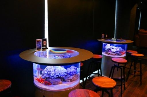 Aquarium bar OCEANS 姫路本店