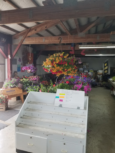 Greenhouse «Stiles Vegetable Farm and Greenhouse», reviews and photos, 11717 Sheridan Rd, Pleasant Prairie, WI 53158, USA