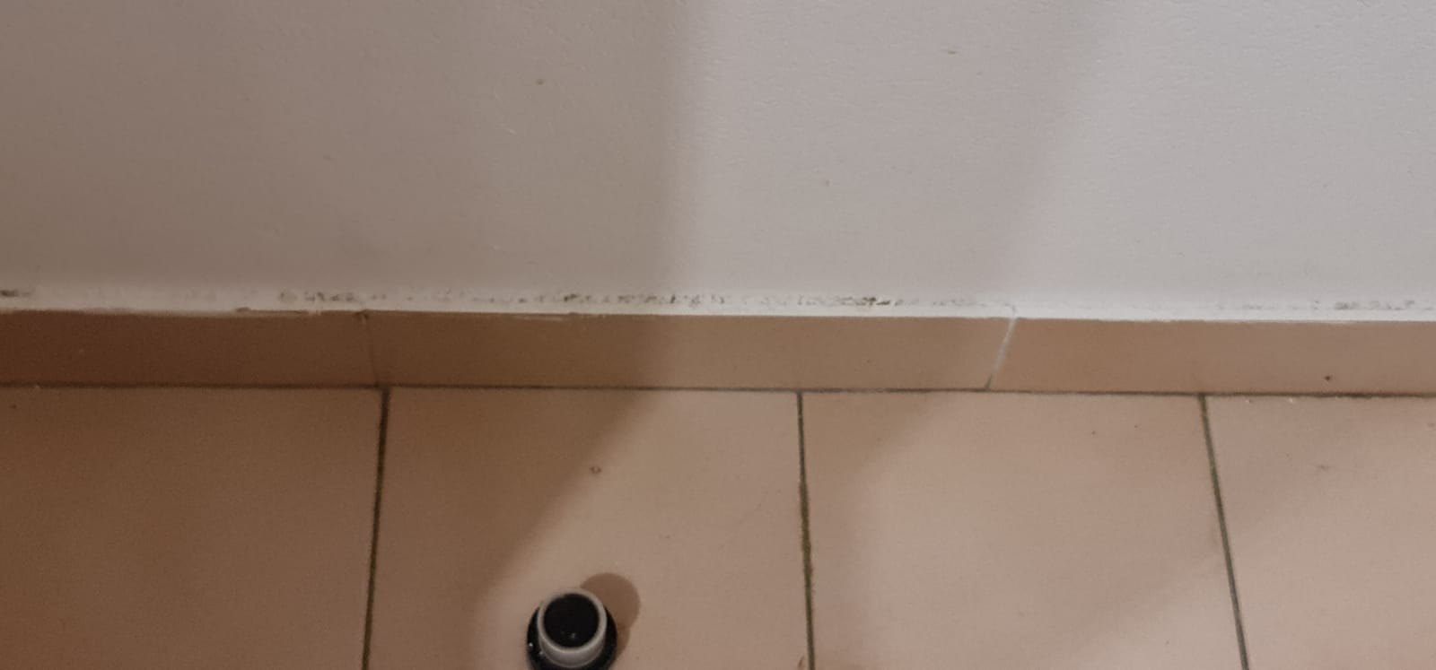 Photo n° 16 de l'avis de Fadella.R fait le 21/08/2021 à 23:35
