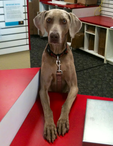 Notary Public «Mail & More», reviews and photos, 5050 Laguna Blvd #112, Elk Grove, CA 95758, USA