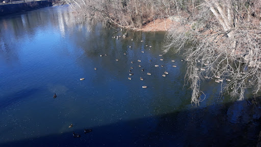 State Government Office «Wilmington State Parks», reviews and photos, 1021 W 18th St, Wilmington, DE 19802, USA