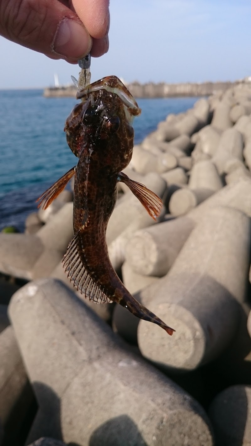 磯崎漁港 茨城県ひたちなか市磯崎町 観光名所 グルコミ