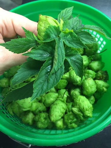 Brewpub «Southern Hops Brewing Co», reviews and photos, 911 S Sunset Acres Ln, Florence, SC 29501, USA