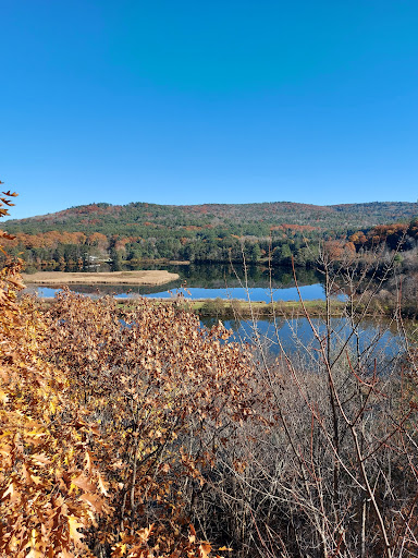 Environmental Organization «VINS Nature Center», reviews and photos, 6565 Woodstock Rd, Quechee, VT 05059, USA