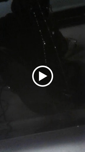 Auto Body Shop «Misner Auto Body Inc», reviews and photos, 60 Sunrise Hwy, West Islip, NY 11795, USA