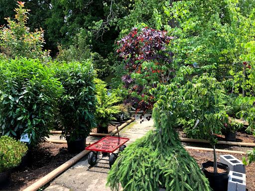 Plant Nursery «A Growing Concern Garden Center», reviews and photos, 1707 Spartanburg Hwy, Hendersonville, NC 28792, USA