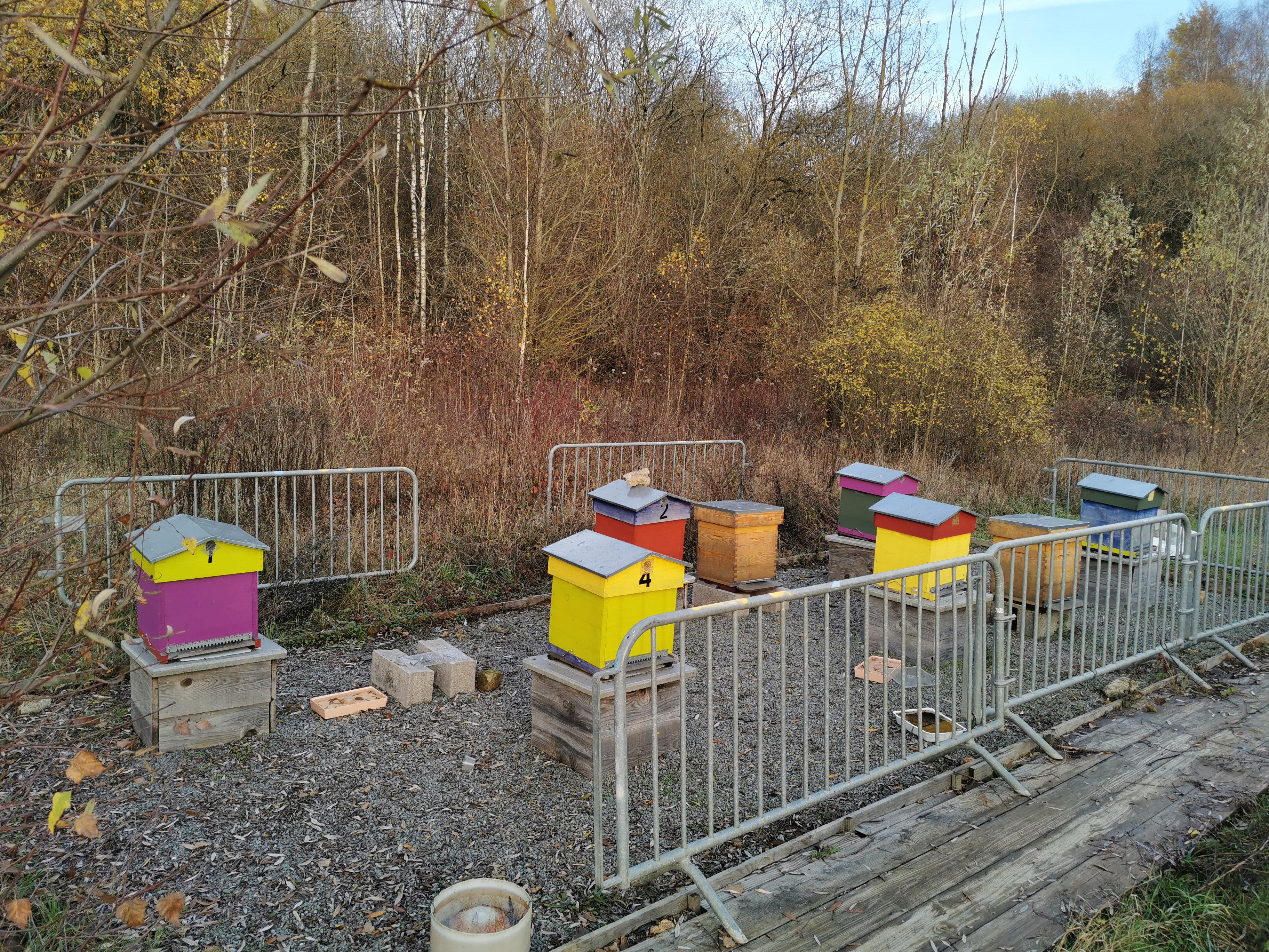 Photo n° 6 de l'avis de Phidis.a fait le 03/07/2019 à 17:43