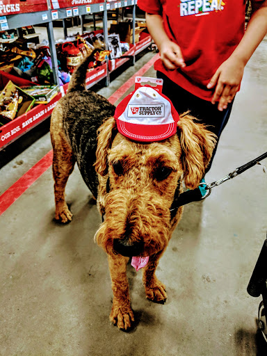 Home Improvement Store «Tractor Supply Co.», reviews and photos, 901 FM 509, San Benito, TX 78586, USA