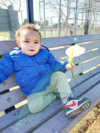 Sports Complex «Milpitas Sports Center», reviews and photos, 1325 E Calaveras Blvd, Milpitas, CA 95035, USA