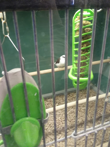 Pet Supply Store «Pet Supplies Plus», reviews and photos, 15034 San Pedro Ave Suite A, San Antonio, TX 78232, USA