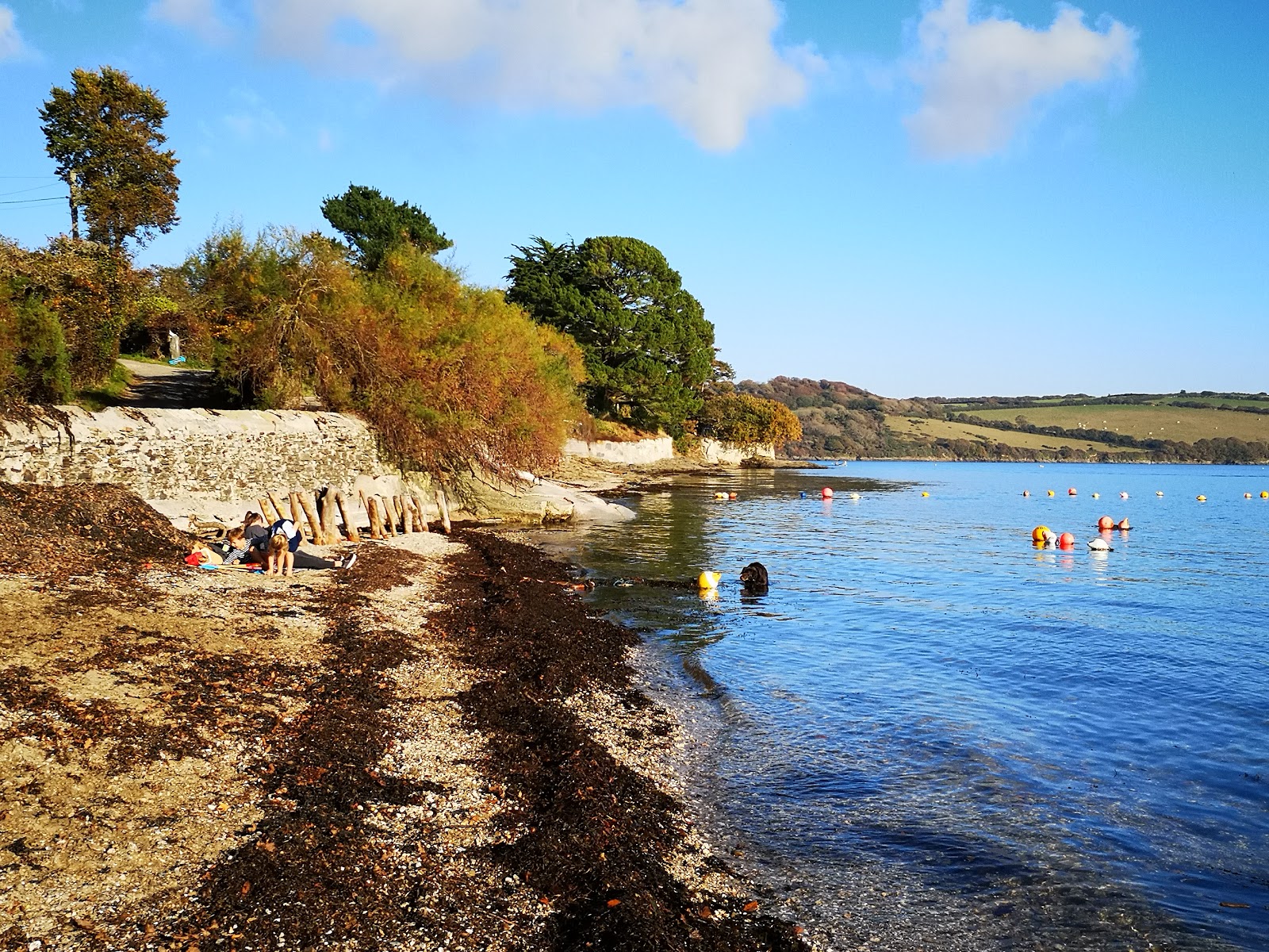 Loe Beach photo #7