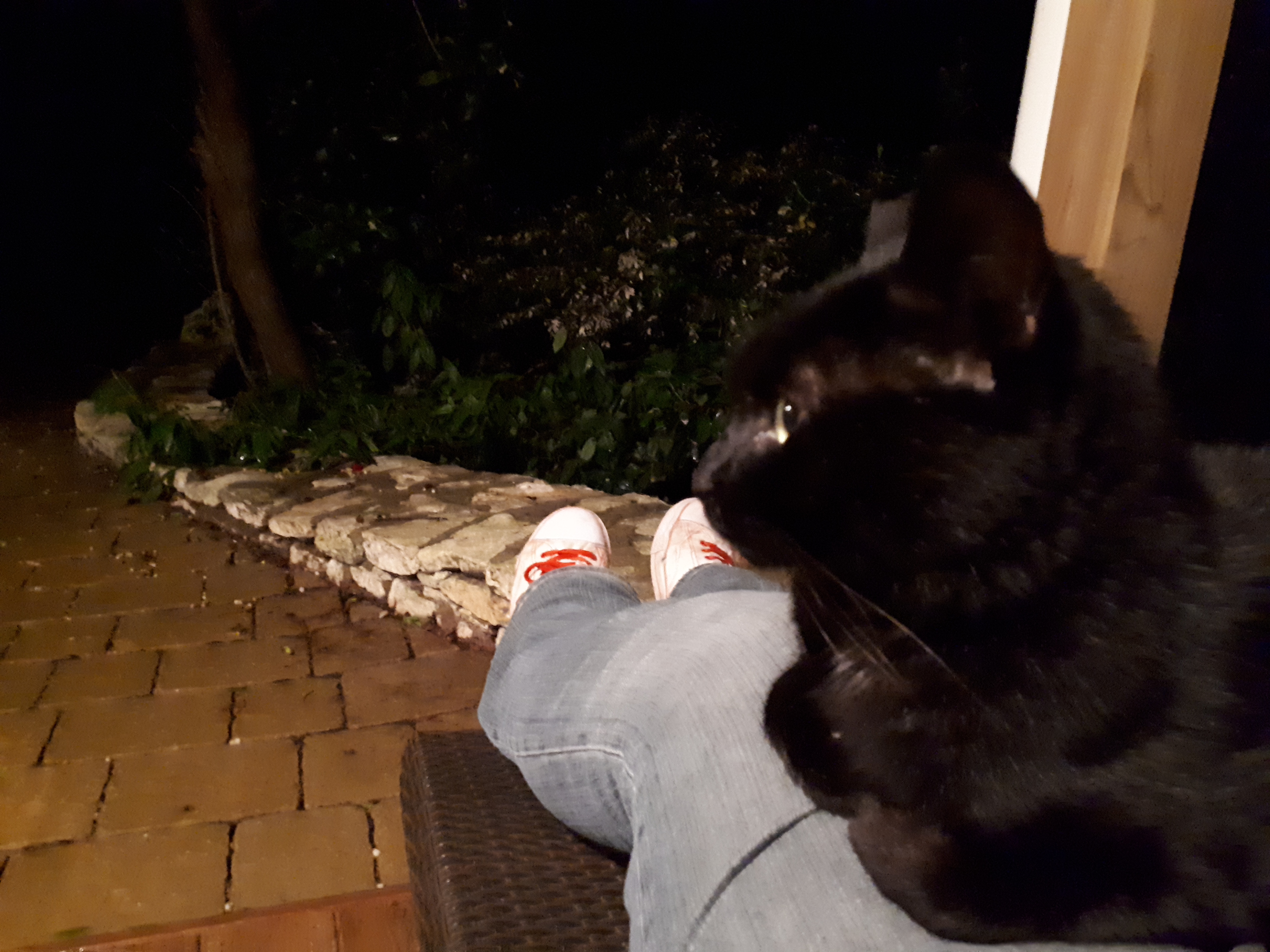 Photo n° 3 de l'avis de Kelli.a fait le 18/11/2018 à 09:16