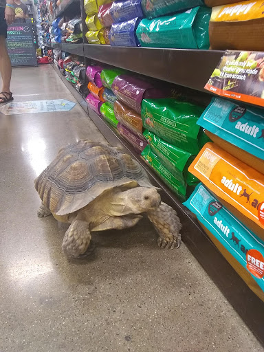 Pet Supply Store «Premier Pet Supply», reviews and photos, 31215 Southfield Rd, Beverly Hills, MI 48025, USA