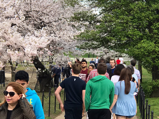 Fine Dining Restaurant «Cherry Blossom Restaurant & Banquet Hall», reviews and photos, 46110 Lake Center Plaza, Sterling, VA 20165, USA