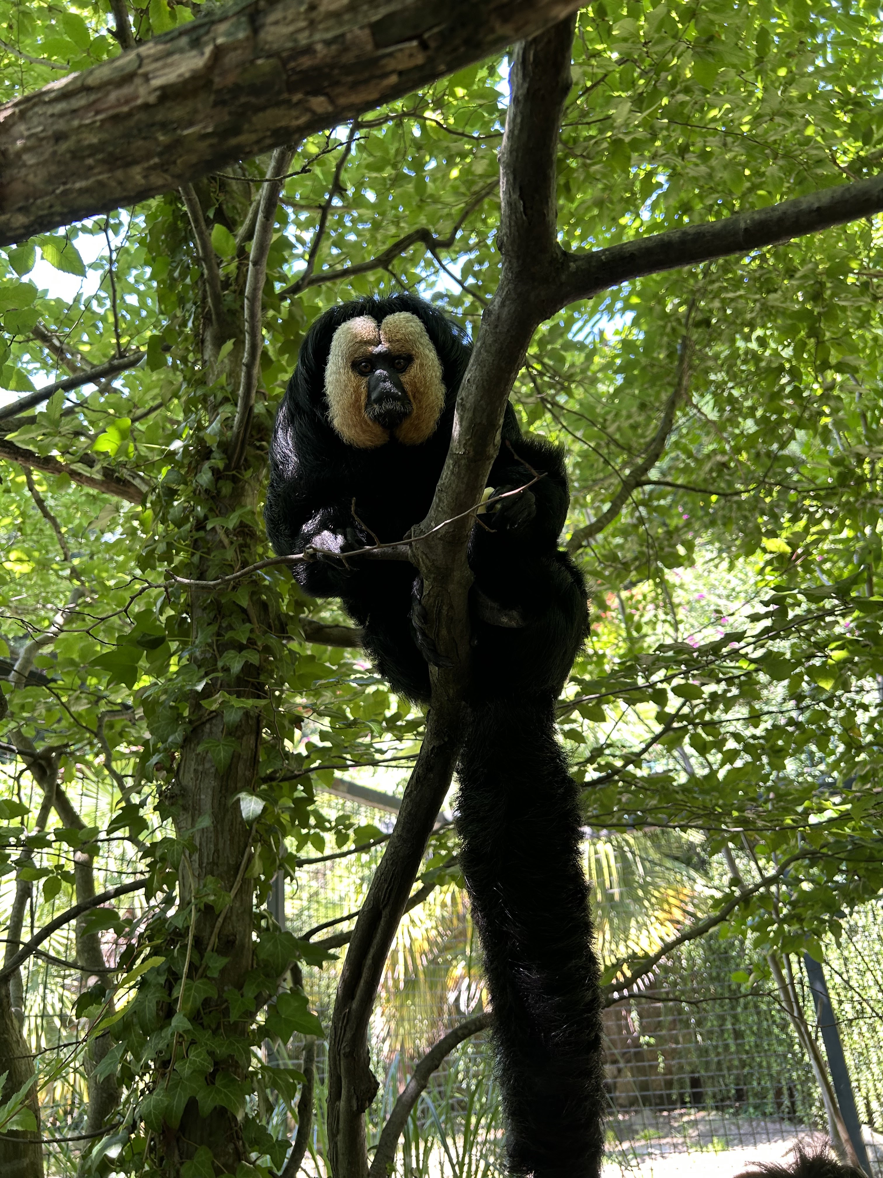 Photo n° 4 de l'avis de Aurélie.e fait le 30/07/2023 à 19:08