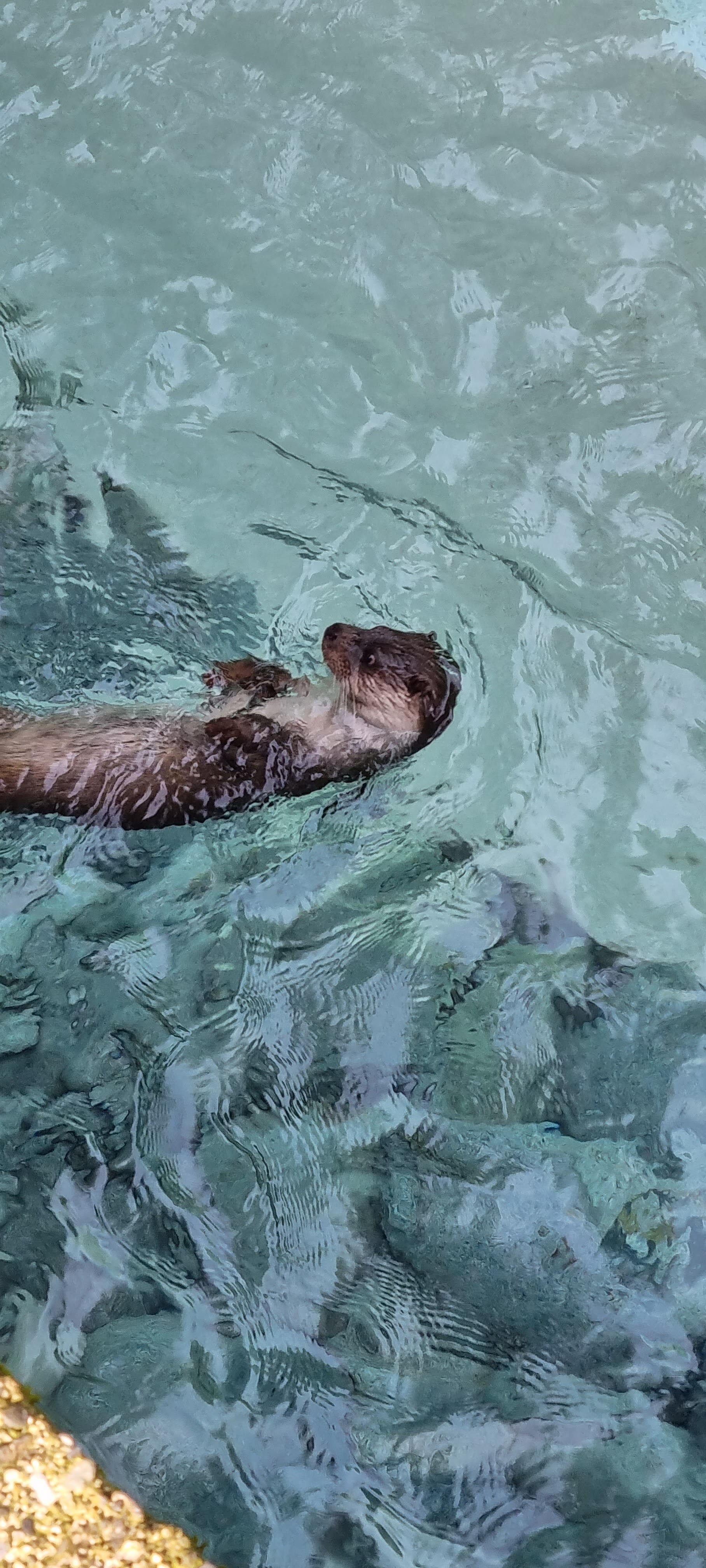 Photo n° 22 de l'avis de Anne.a fait le 25/04/2022 à 13:04