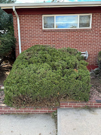 Jardin Del Eden Landscaping