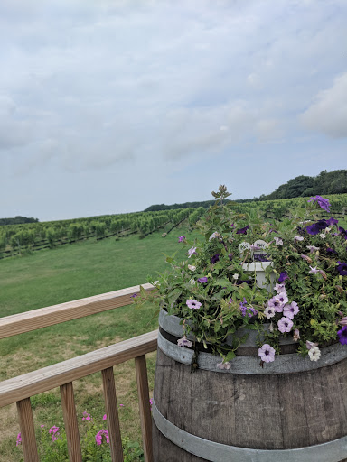 Winery «Paumanok Vineyards», reviews and photos, 1074 Main Rd, Aquebogue, NY 11931, USA