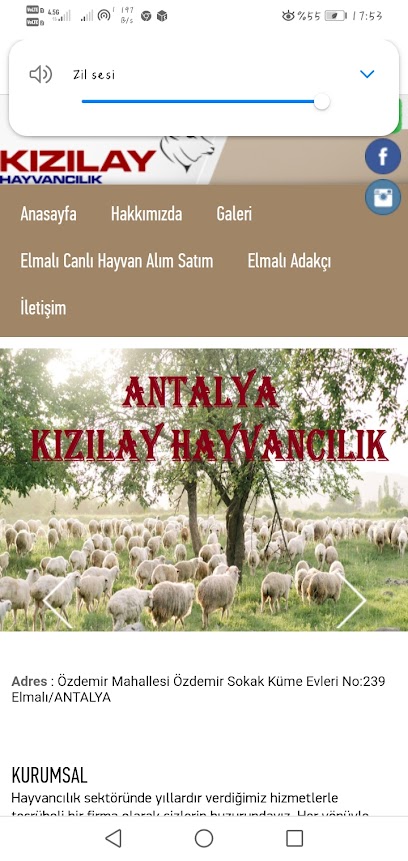 Antalya Kızılay hayvancılık