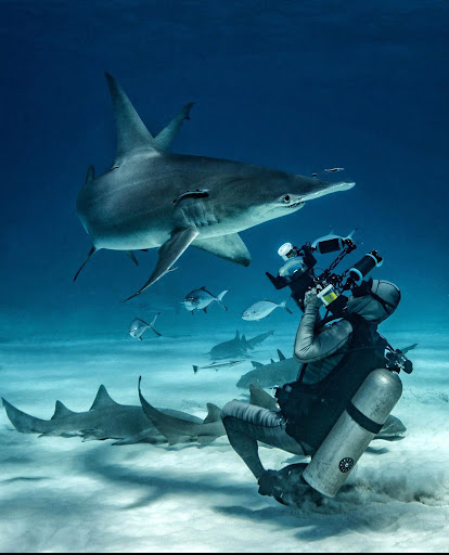 Explore tattoo ideas for knuckles, creative tattoo ideas in Marietta, available at Sink or Swim Studio and Gallery