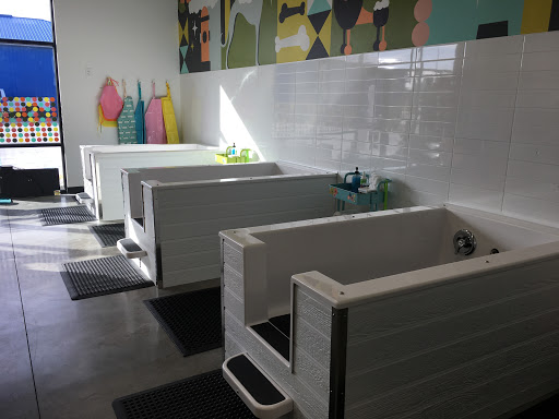 Pet Groomer «Hotdog! Pet Salon», reviews and photos, 629 1st Ave N, Fargo, ND 58102, USA