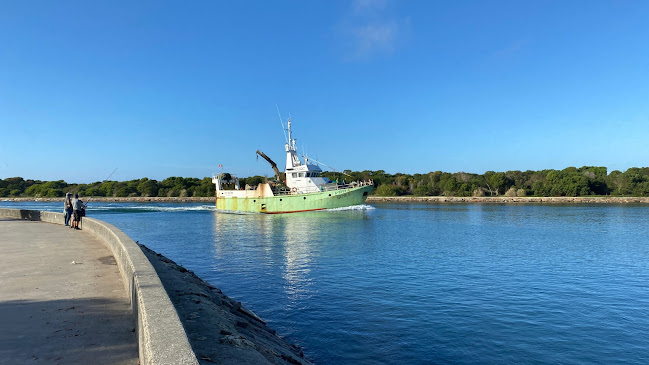 Cais Palafítico da Barra de Aveiro - Aveiro