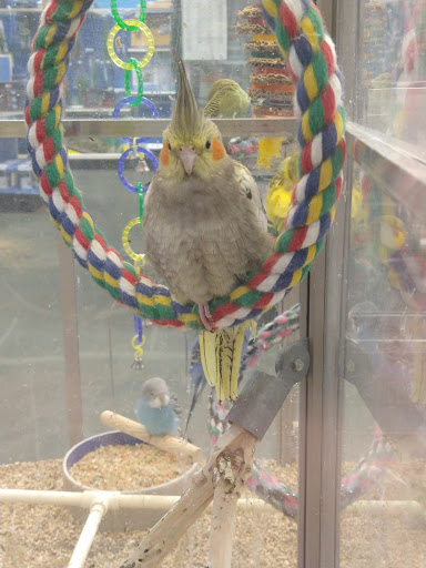 Pet Supply Store «Pet Supermarket, Inc.», reviews and photos, 244 Tunnel Rd, Asheville, NC 28805, USA