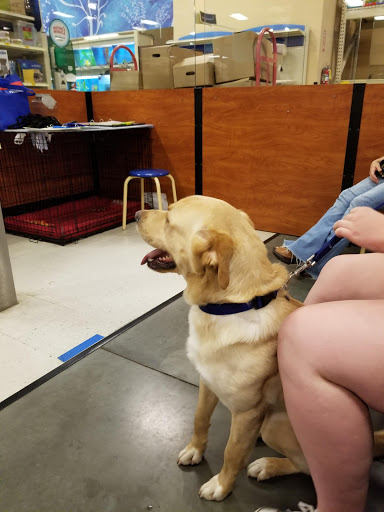 Pet Supply Store «PetSmart», reviews and photos, 3500 Ross Clark Cir, Dothan, AL 36303, USA