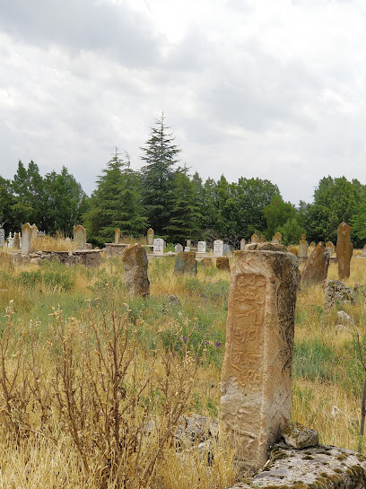 Türkmenmecidiye köyü mezarlığık
