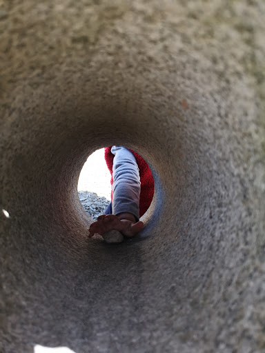 Park «Kirke Park», reviews and photos, 7028 9th Ave NW, Seattle, WA 98117, USA