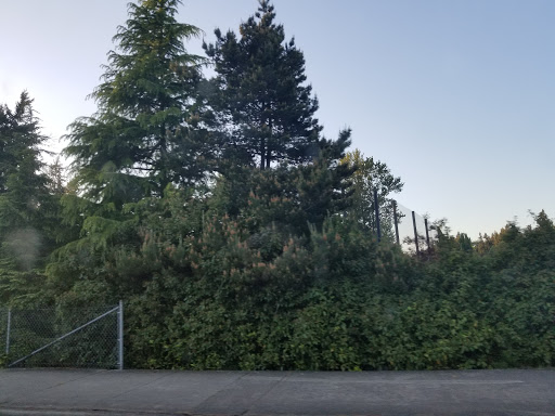 Golf Club «Twin Lakes Golf and Country Club», reviews and photos, 3583 SW 320th St, Federal Way, WA 98023, USA