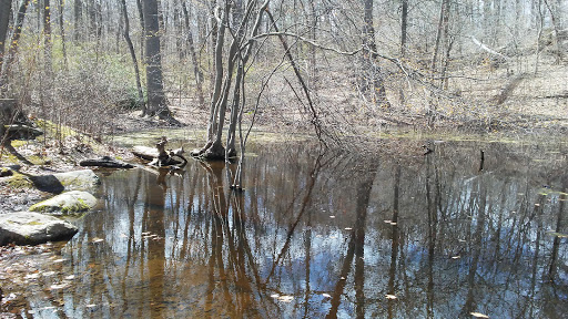 Nature Preserve «Greenburgh Nature Center», reviews and photos, 99 Dromore Rd, Scarsdale, NY 10583, USA