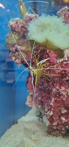 Pet Supply Store «Pet Supplies Plus», reviews and photos, 7041 Barker Cypress Rd, Cypress, TX 77433, USA