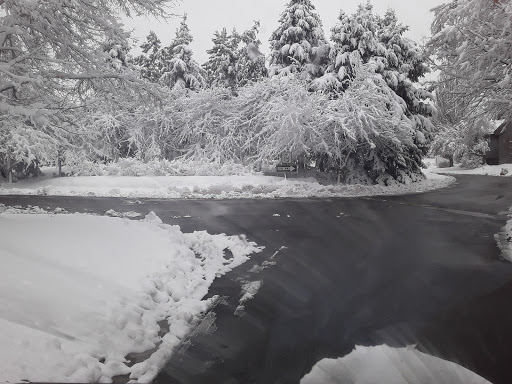 Public Golf Course «Wellshire Golf Course», reviews and photos, 3333 S Colorado Blvd, Denver, CO 80222, USA