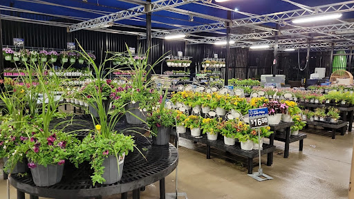 Department Store «Walmart Supercenter», reviews and photos, 7500 US-209, Napanoch, NY 12458, USA