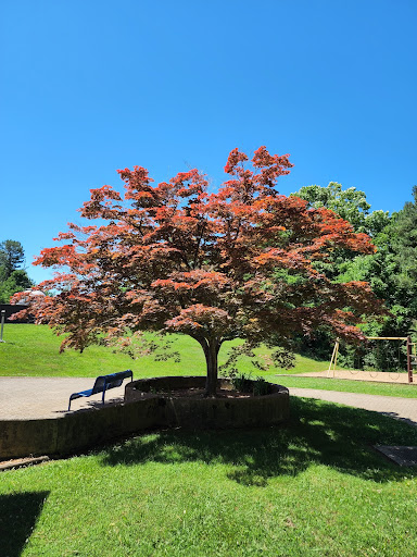 Visitor Center «Golden Pond Visitor Center & Planetarium», reviews and photos, 238 Visitor Center Dr, Golden Pond, KY 42211, USA
